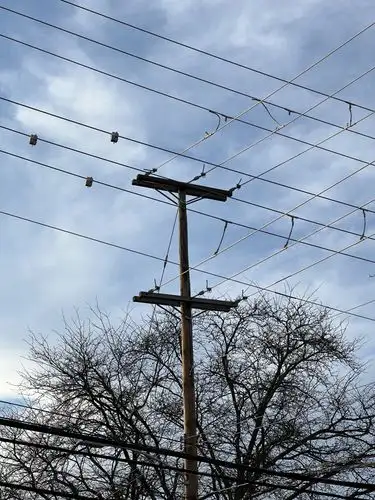 Tangled lines against a winter sky.